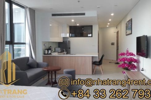 muong thanh oceanus – 2 br apartment for rent in the north a094