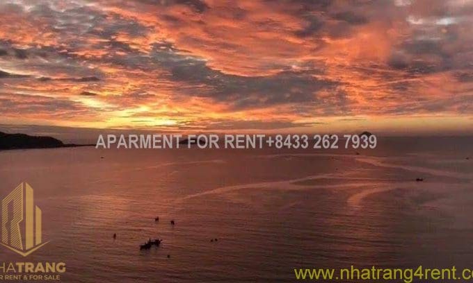 cham oasis – 2 br apartment with campusview for rent in resort condotel a639