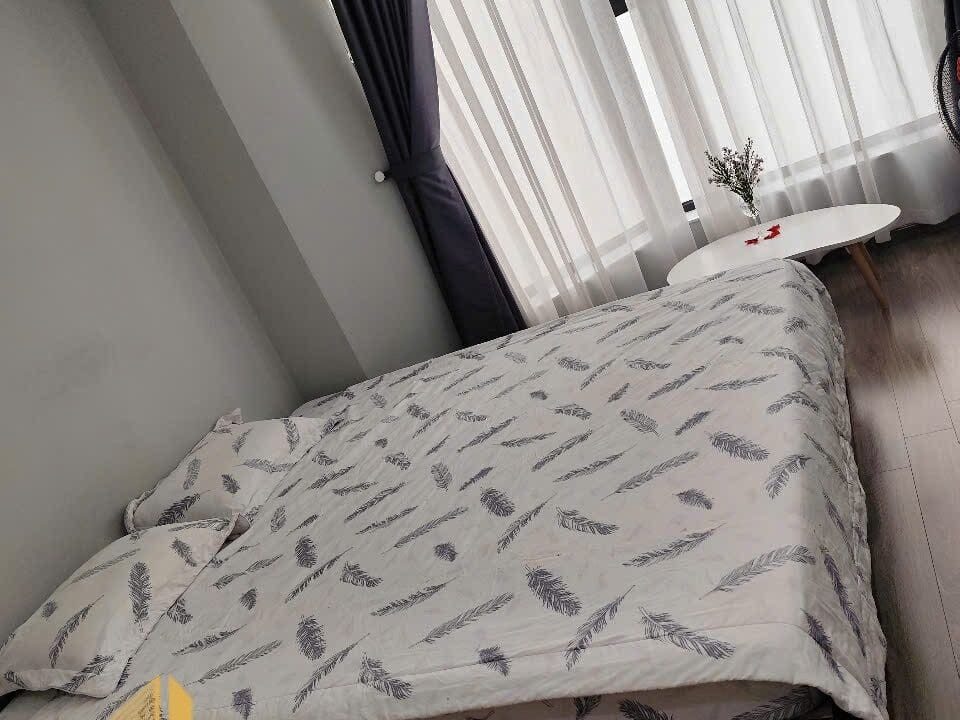 z6739934798586_64535f94bcc24843c512b94e8fc42279