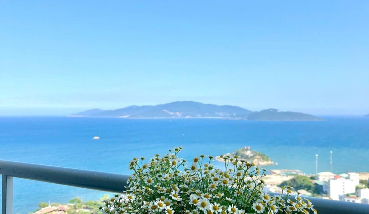 z6717795233612_3651c079a882a0c2d0d65422941134d1