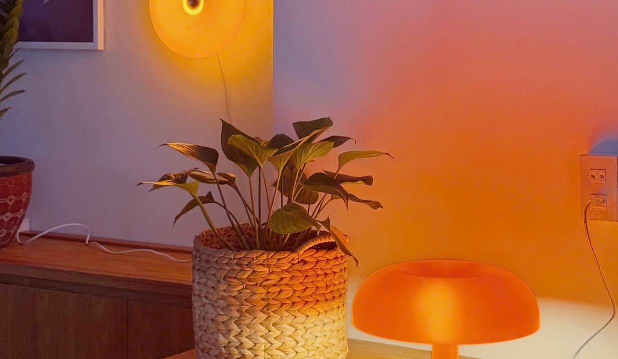 z6923258885790_4202130498c4102ec021d226cf3b0a4b