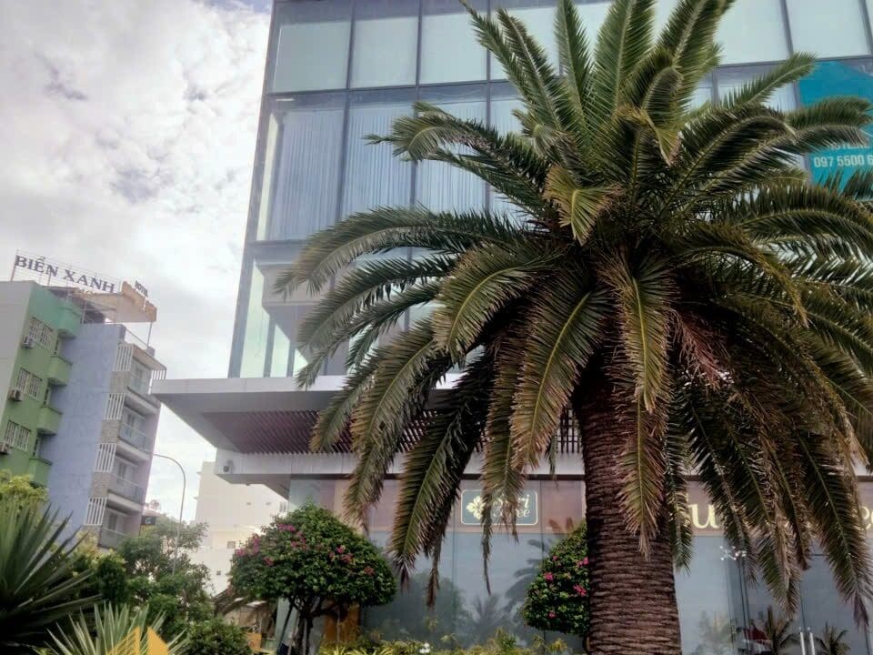 z6933683470601_2340fbf6a6cd21f3092da37cf8e18f2e