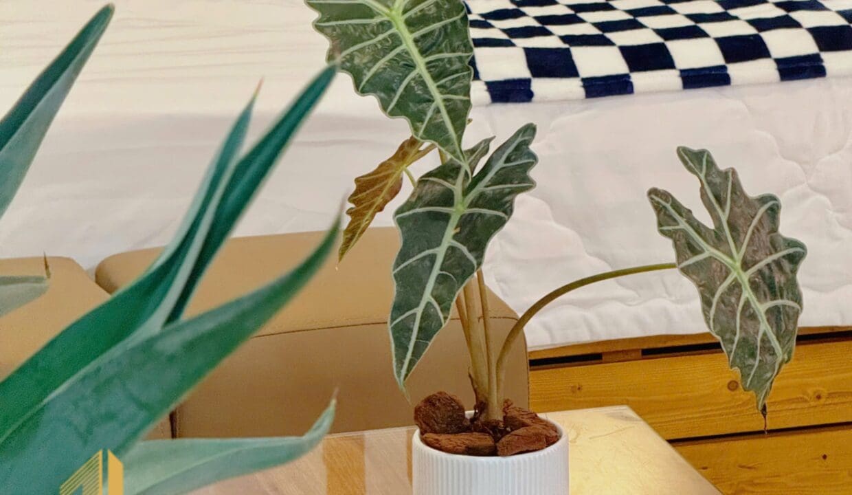 z6989174249377_f43e4cd71b07c3ec93c68df2752e5644