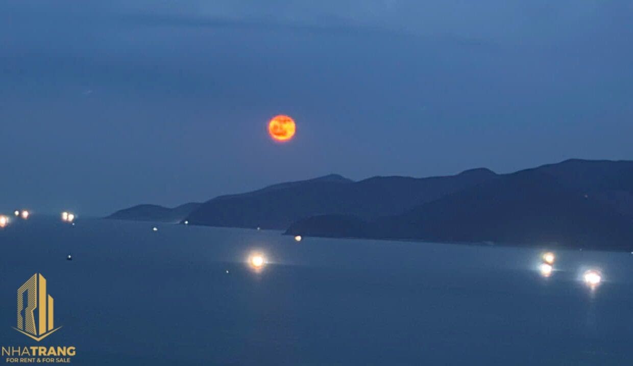 z7070552447731_638fe07ed511fb720835fb7998701023