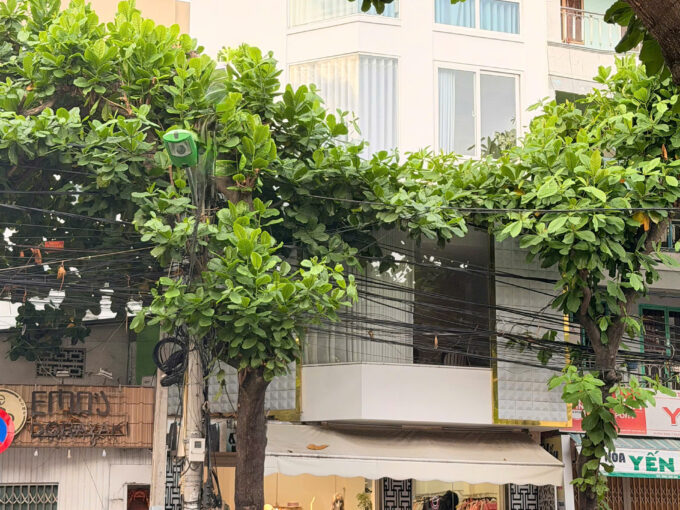 Whole house for rent on Hong Bang Street in Nha Trang – H135