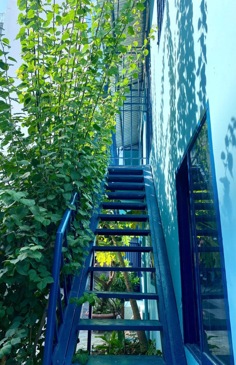 Cho thuê bất động sản, 200 m², Vĩnh Phước